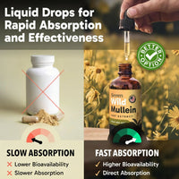 Seren Mucus & Phlegm Pulling Formula