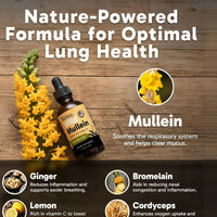 Seren Mucus & Phlegm Pulling Formula